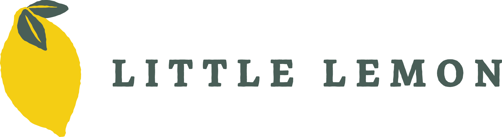 logo image